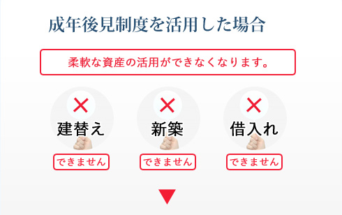 成年後見制度を活用した場合
